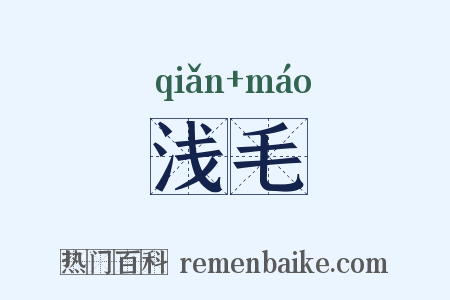 浅毛是什么意思的图片